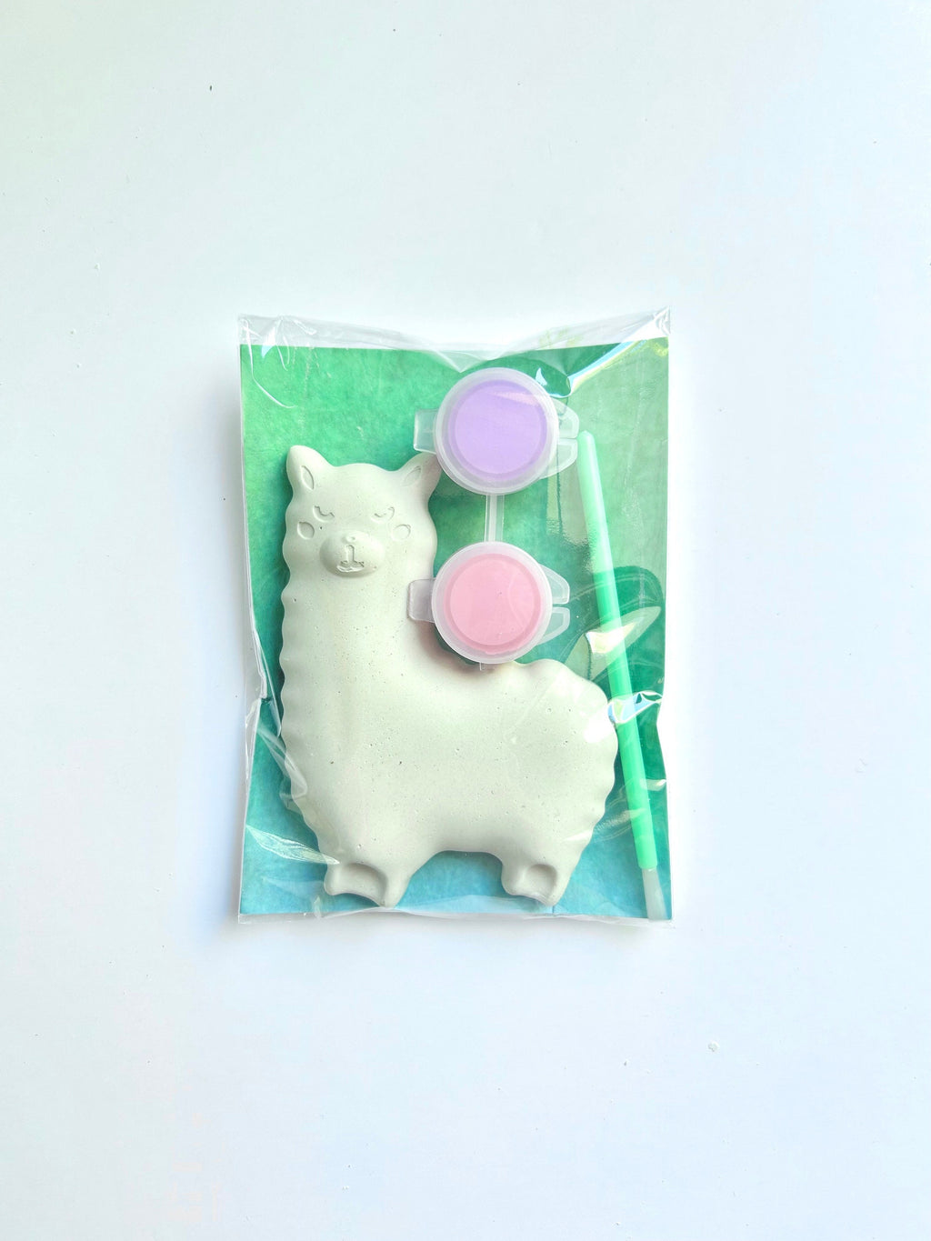 Alpaca Animal Party Favor Paint Kits Theme Party Fiesta Summer Party