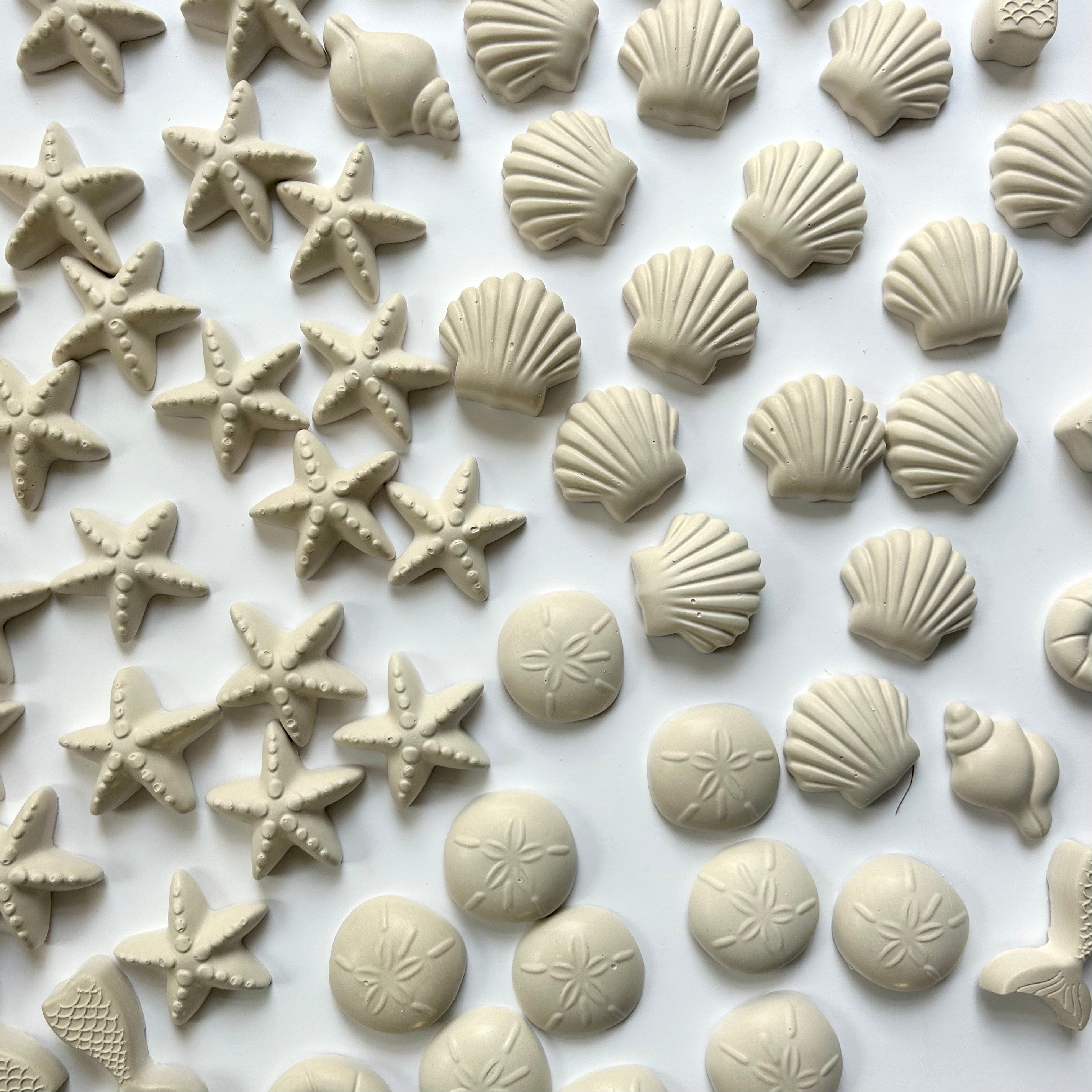 Mermaid Party Favor Paint Kits Theme Party Seashell Craft Birthday Party Favor