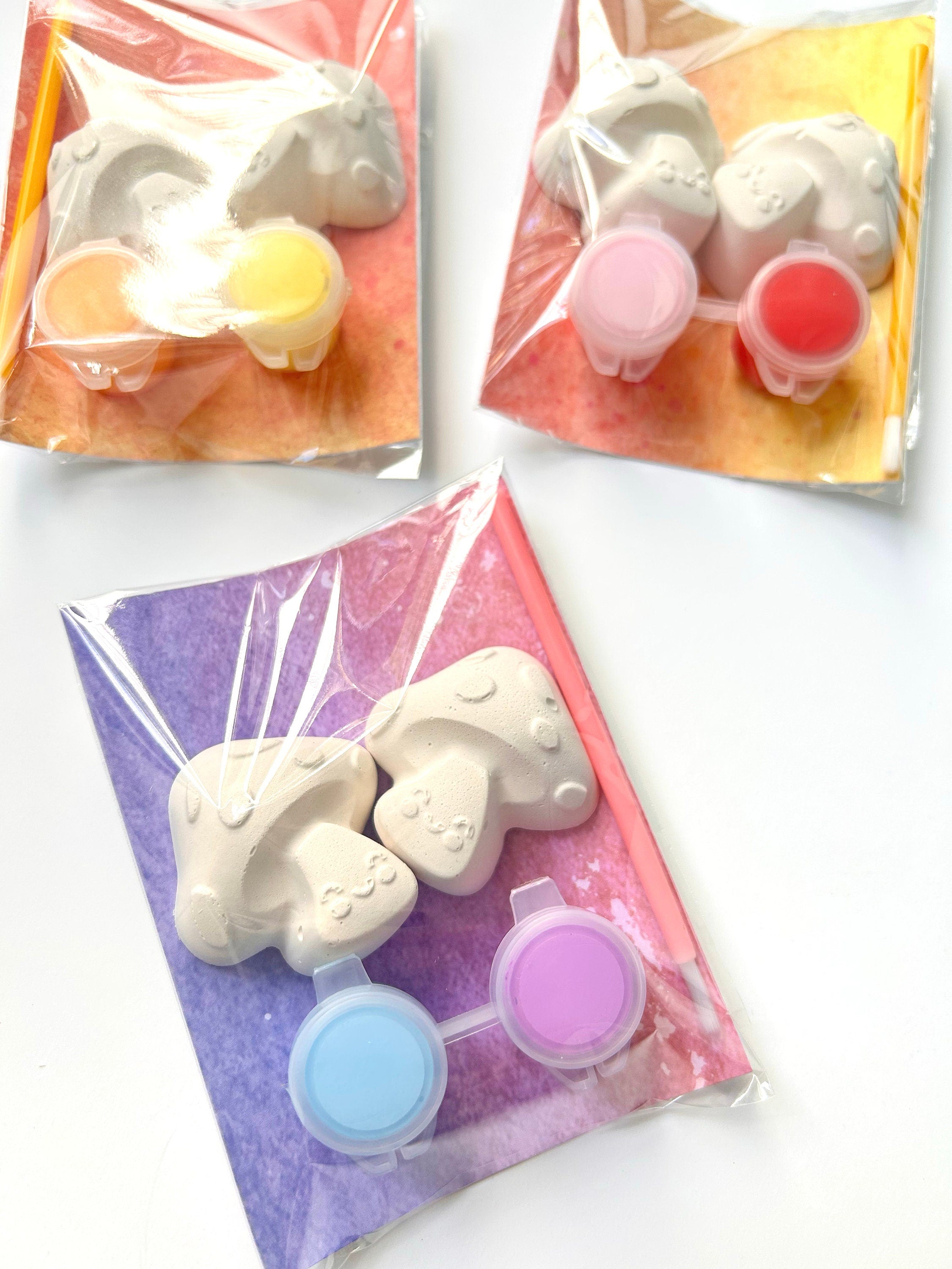Mushroom Party Favor Paint Kits Theme Party Woodland Party Enchanted Nature Birthday Party Favors First Birthday Party Favors