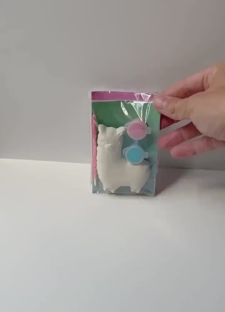 Alpaca Animal Party Favor Paint Kits Theme Party Fiesta Summer Party
